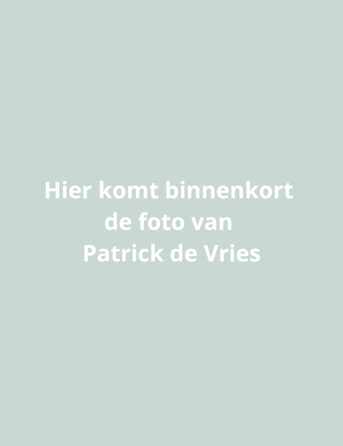 Patrick (P.J.A.) de Vries